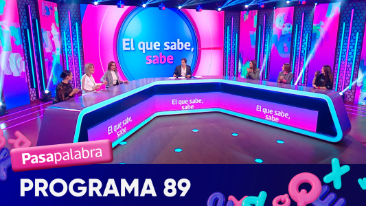 Programa 89