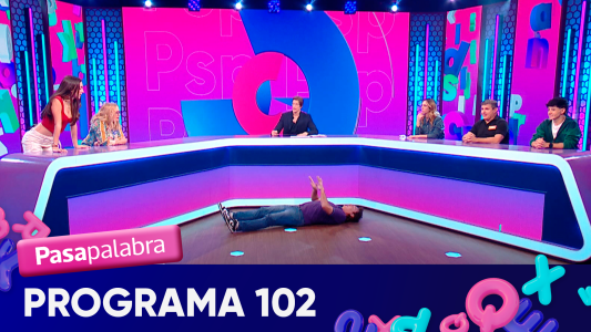 Programa 102