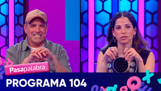Programa 104