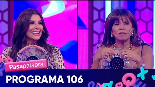 Programa 106