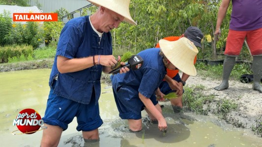 Marley y Georgina Barbarossa plantaron y cosecharon arroz en Tailandia