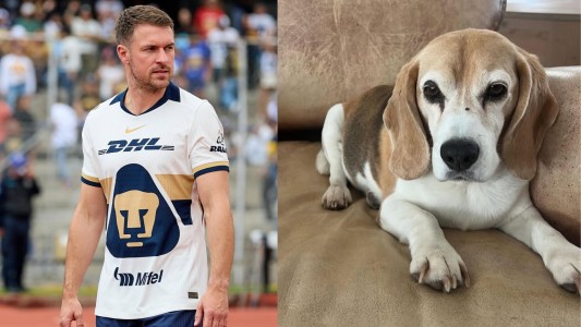 Aaron Ramsey pide ayuda para encontrar a su perro perdido en México: ofrece recompensa
