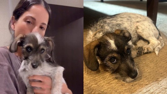 Cande Molfese adoptó otro perrito y emocionó con su historia de vida