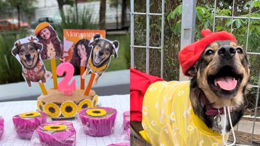 A lo Margarita: así fue el tierno festejo de cumpleaños de esta perrita