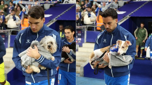 Campaña solidaria en el fútbol español: un equipo ingresó a la cancha con perros en adopción