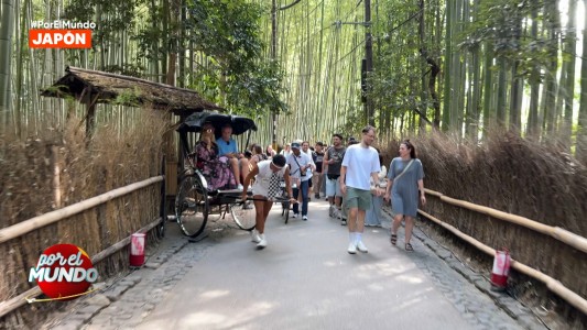 La particular manera en que Marley y Vicky Xipolitakis recorrieron el bosque de bambú