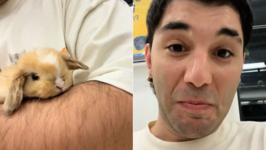 Encontró un conejo perdido en el subte y su reacción se volvió viral