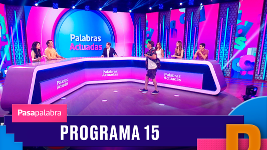 Programa 15