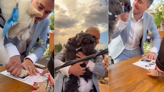 Amor multiespecie: se casaron y sus perros firmaron como testigos