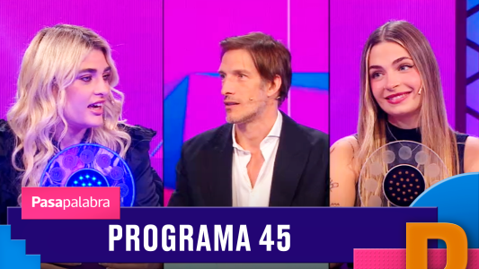 Programa 45