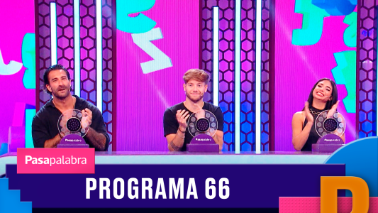 Programa 66