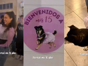 Los 15 de "La Negri": la emocionante historia de una perrita rescatada que tuvo su fiesta soñada