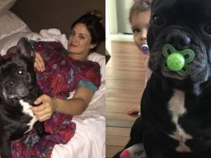 El doloroso mensaje de Paula Chaves tras la muerte de Moro: "Me ayudaste a perder el miedo"