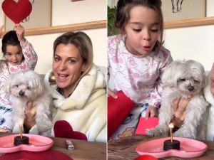 "14 años de amor incondicional": el conmovedor posteo de Eugenia Tobal por el cumpleaños de su perrito
