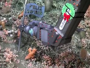 Video | Científicos del Conicet enviaron un saludo navideño a 1.000 metros de profundidad